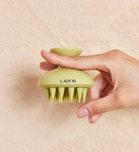 LADOR Dermatological Scalp Massager Shampoo